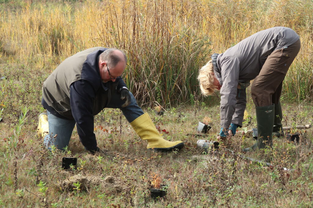 Alles was Sie schon immer über Pflanzen wissen wollten, aber sich bisher nie zu fragen getraut haben