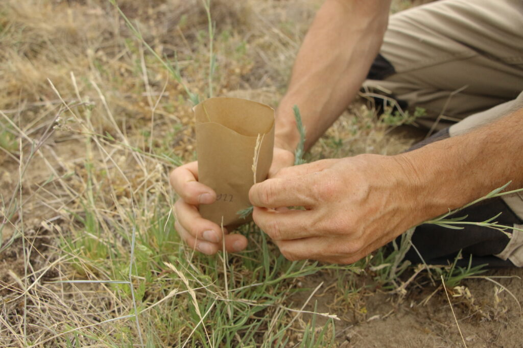 Die Website geht online