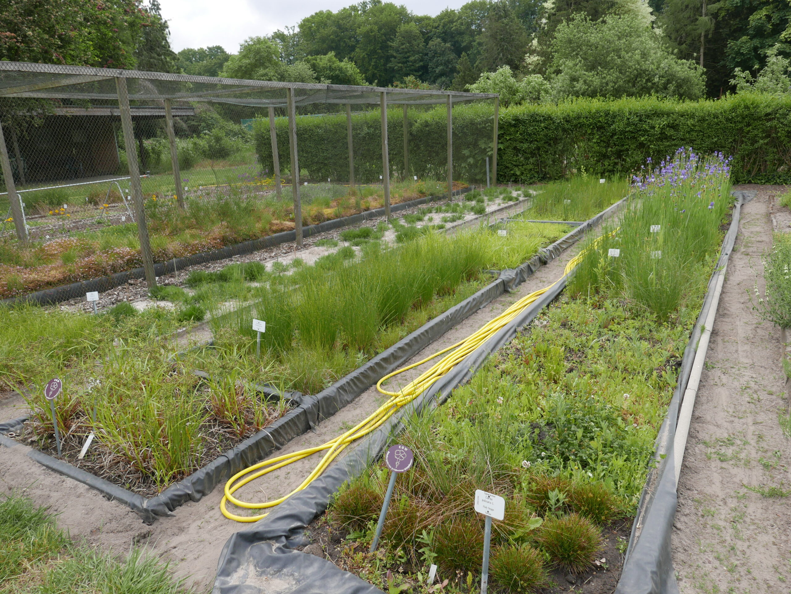 Botanischer Garten der Universität Potsdam